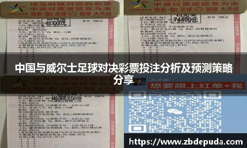 中国与威尔士足球对决彩票投注分析及预测策略分享