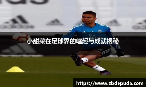 小甜菜在足球界的崛起与成就揭秘